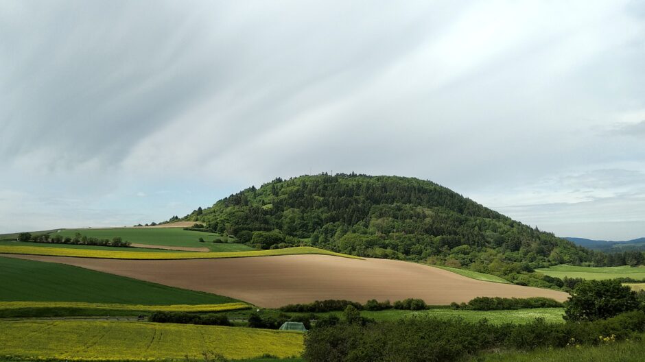 Bewaldete Kuppe in der Eifel